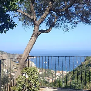  Hébergement de vacances Casa Da Daniela